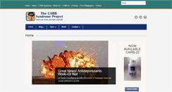 Desktop Screenshot of carbsyndrome.com